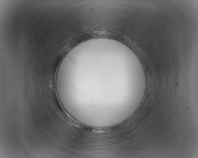 X0000083990706200702160731