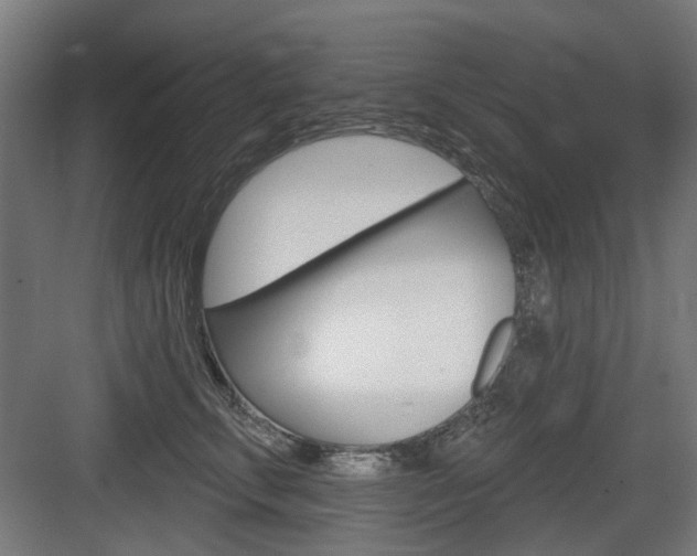 X0000083990711200702160731