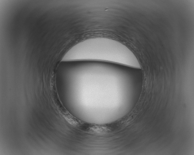 X0000083990712200702160731