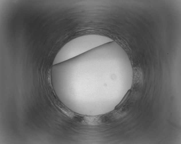X0000083990713200702160731
