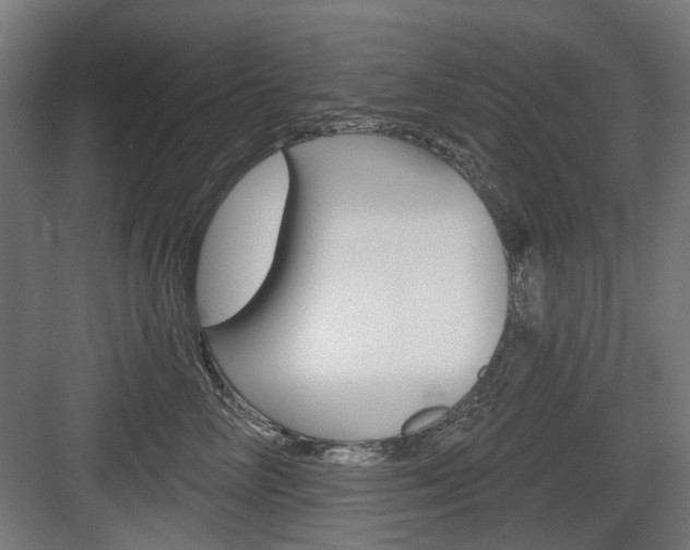 X0000083990714200702160731