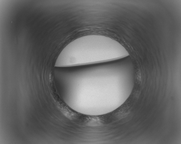 X0000083990715200702160731