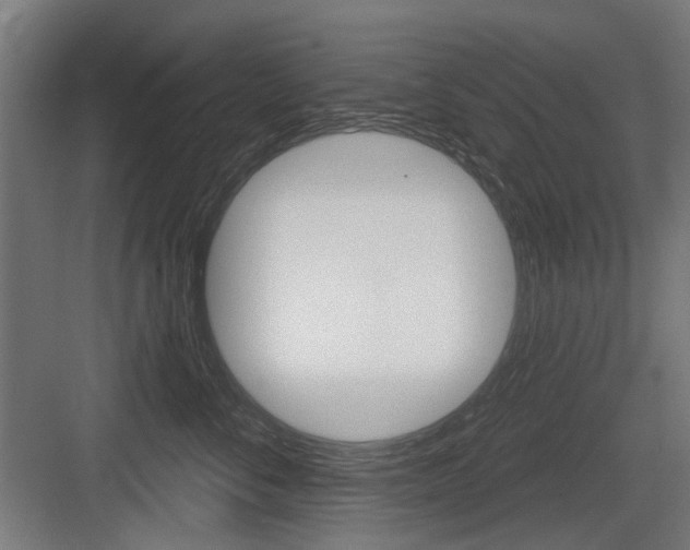 X0000083990716200702160731