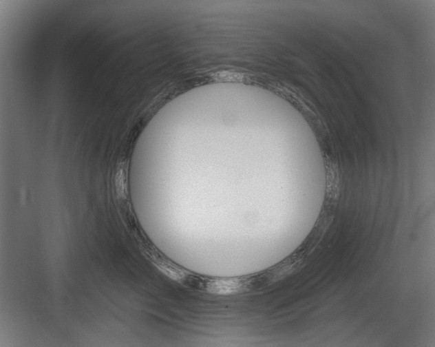 X0000083990717200702160731