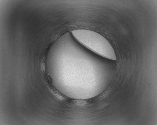 X0000083990719200702160730