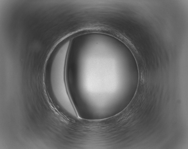 X0000083990724200702160730