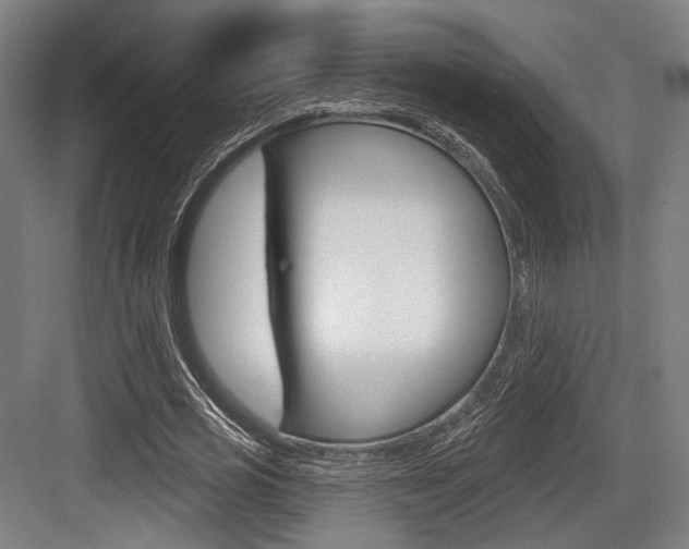 X0000083990725200702160730
