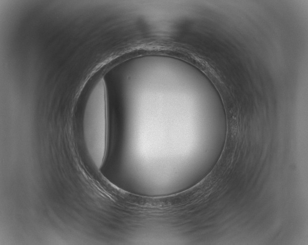 X0000083990727200702160730