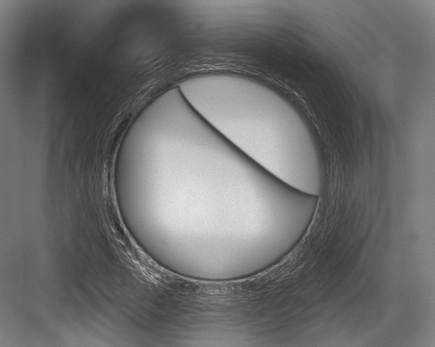 X0000083990729200702160730