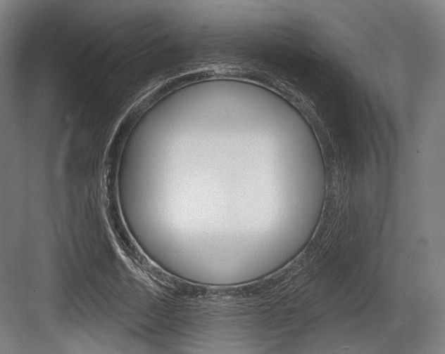 X0000083990730200702160730