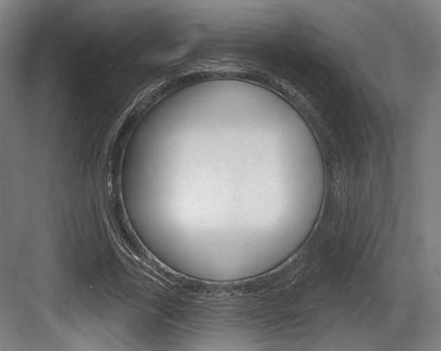 X0000083990731200702160730