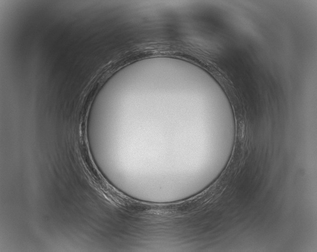 X0000083990733200702160730