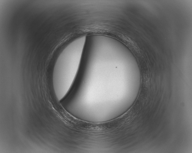 X0000083990735200702160730
