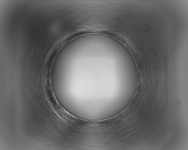 X0000083990736200702160730