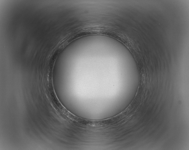 X0000083990739200702160730
