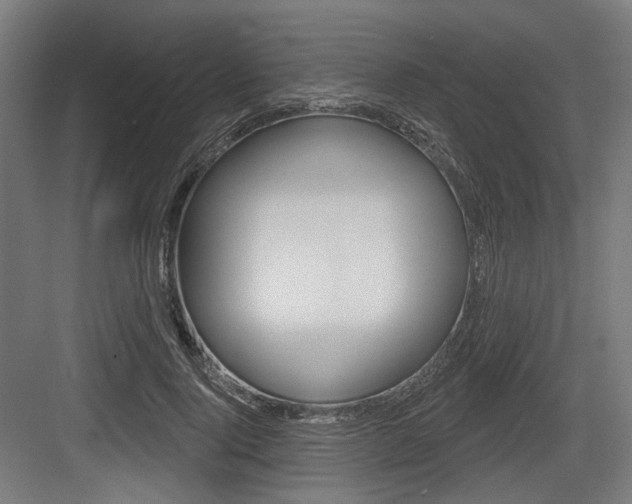 X0000083990740200702160730
