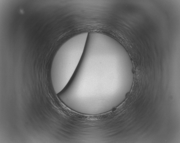 X0000083990741200702160730