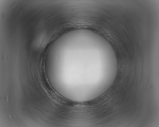 X0000083990742200702160730