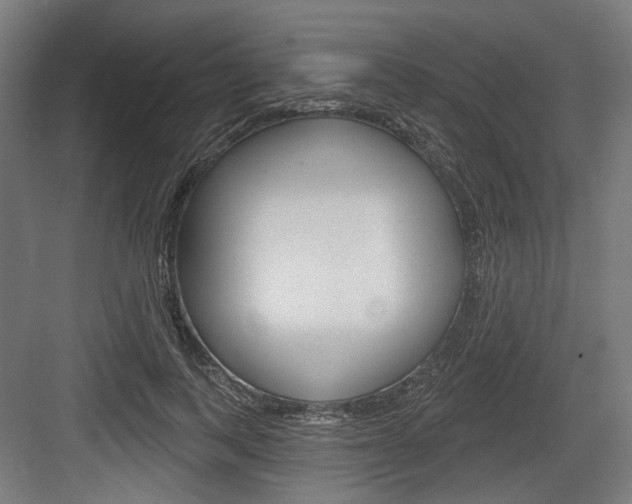 X0000083990743200702160730