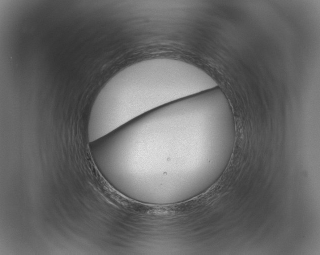 X0000083990745200702160730