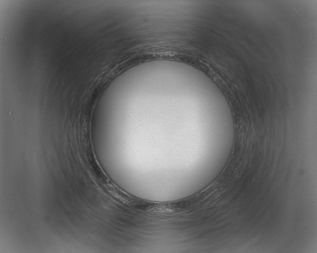 X0000083990747200702160730