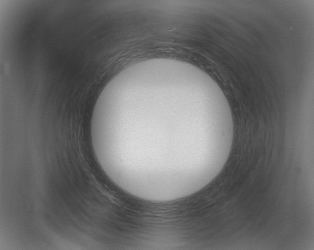 X0000083990750200702160730