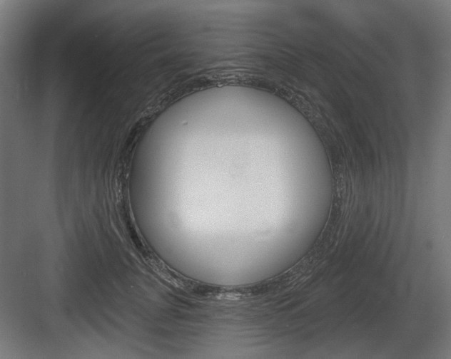 X0000083990751200702160730