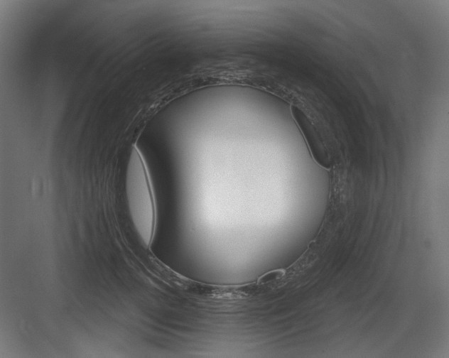 X0000083990752200702160730