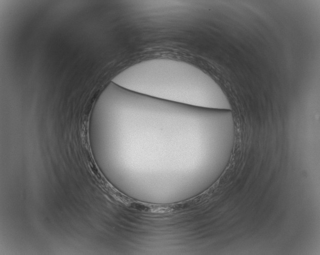 X0000083990753200702160730