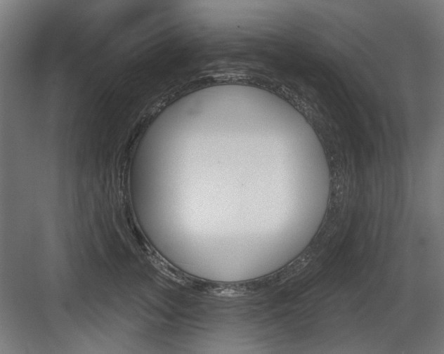 X0000083990755200702160730