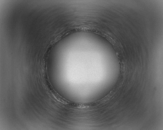 X0000083990760200702160730
