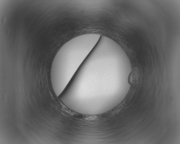 X0000083990761200702160730