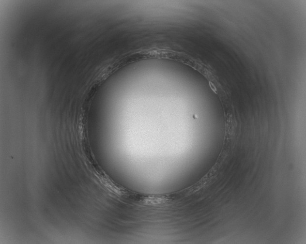 X0000083990762200702160730