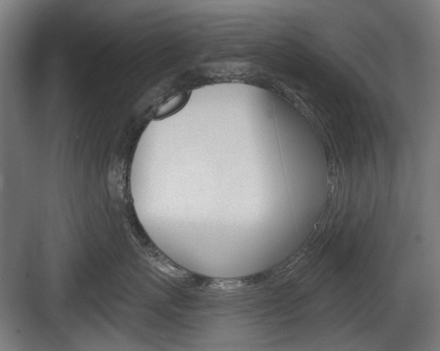 X0000083990767200702160730