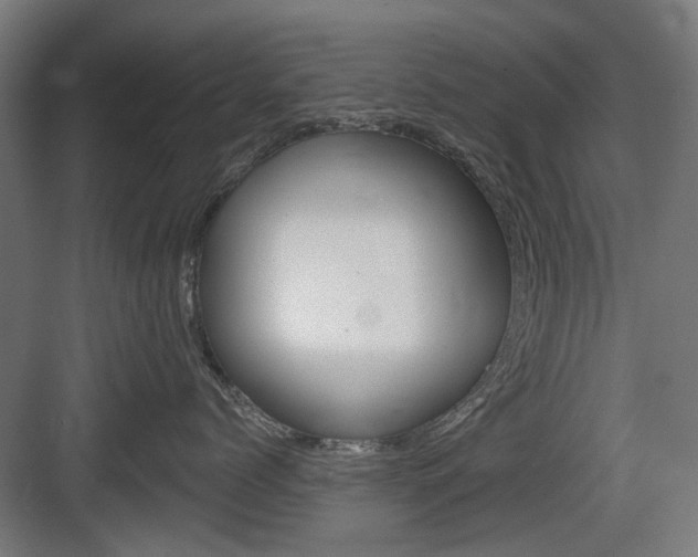 X0000083990768200702160730