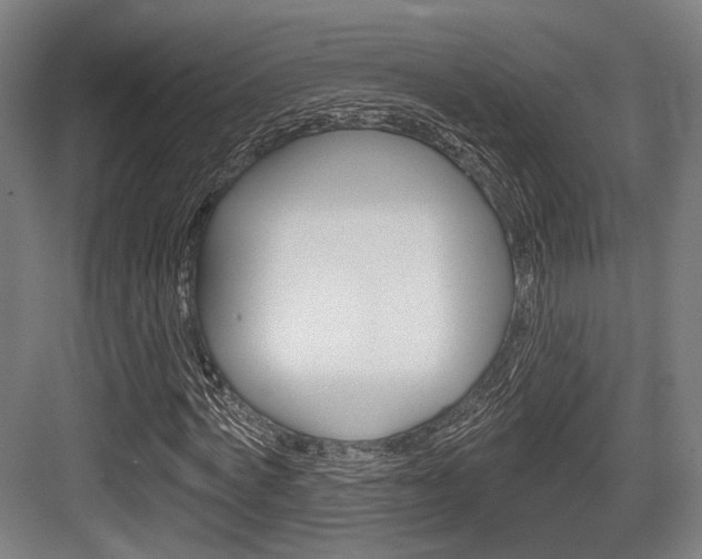 X0000083990772200702160730