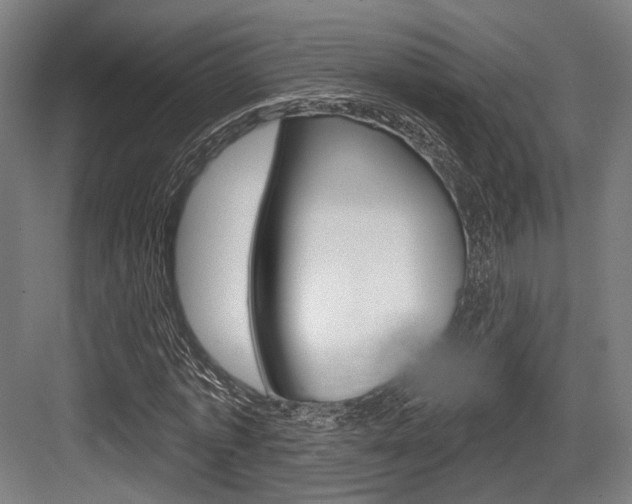 X0000083990773200702160730