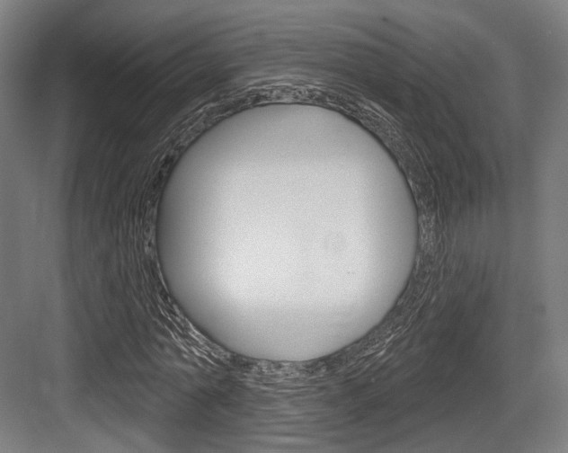 X0000083990774200702160730