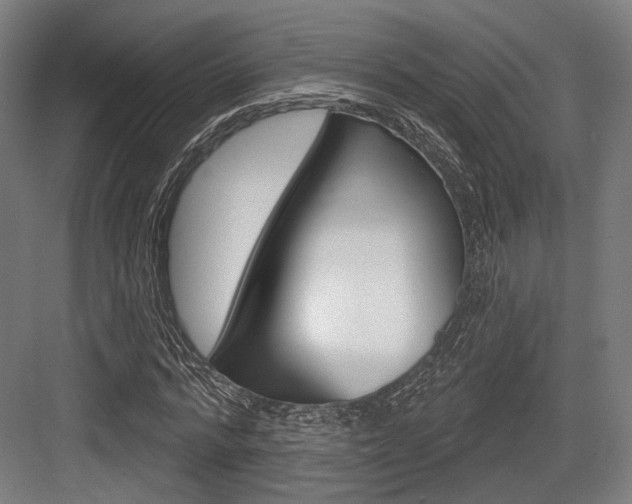 X0000083990776200702160730
