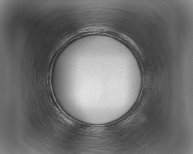 X0000083990778200702160730