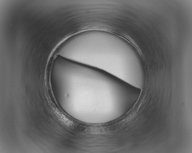 X0000083990780200702160729