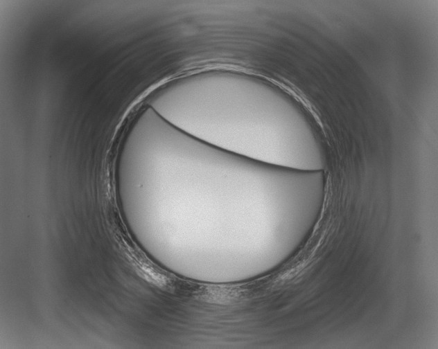 X0000083990782200702160729