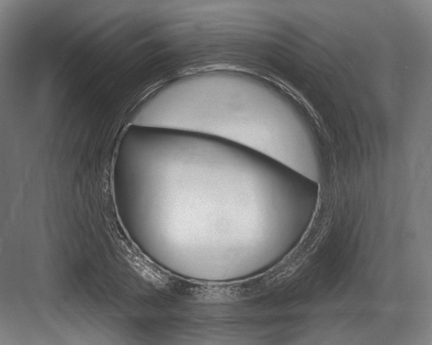 X0000083990785200702160729