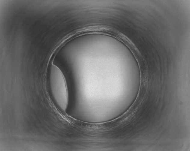 X0000083990786200702160729