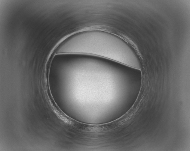 X0000083990792200702160729