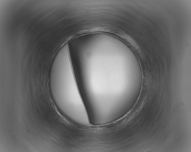 X0000083990793200702160729