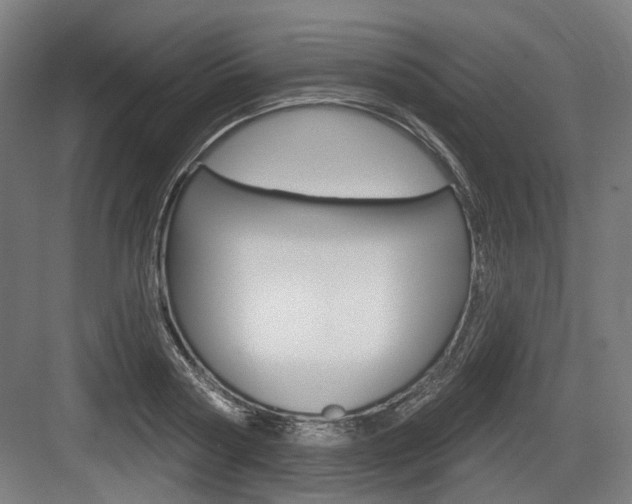 X0000083990794200702160729