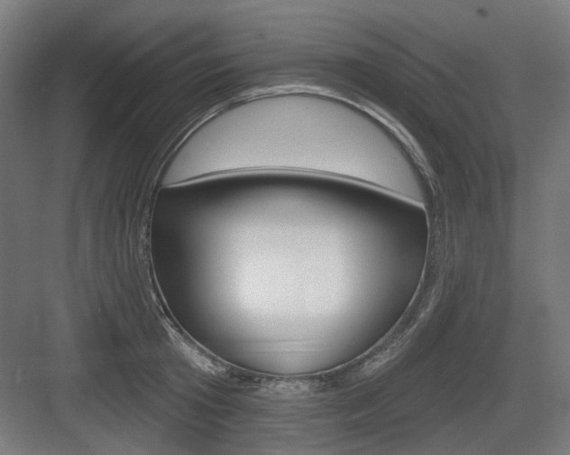 X0000083990801200702160729