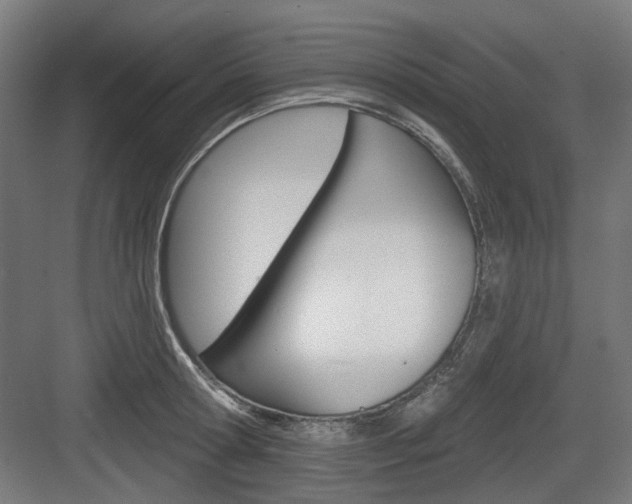 X0000083990802200702160729