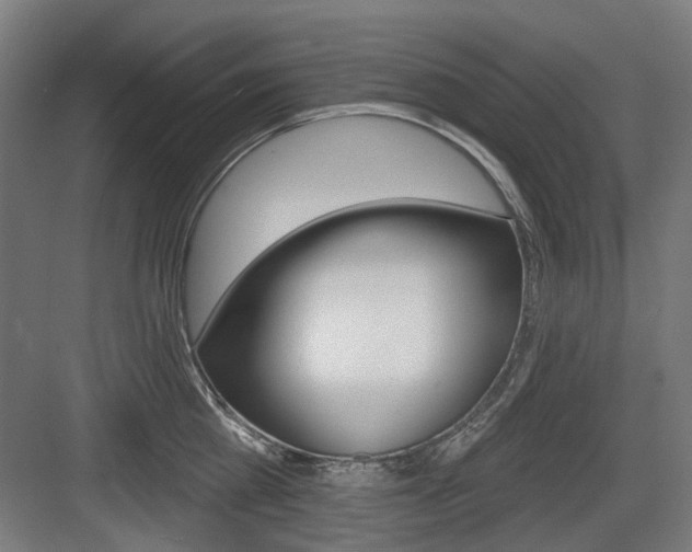 X0000083990809200702160729